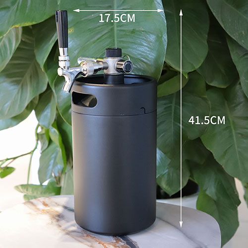 4L Double Wall Keg with CO₂ Dispenser