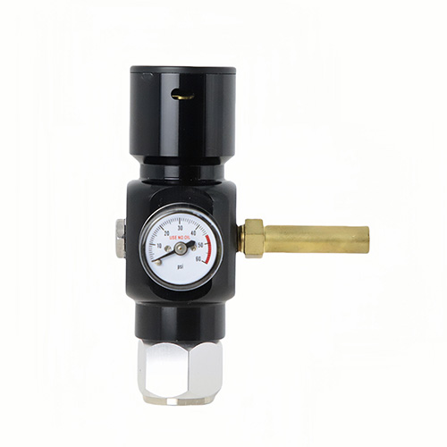 BP24 Customized CO₂ Regulator for Strict Beer Service, Unlocked by Professional Tools